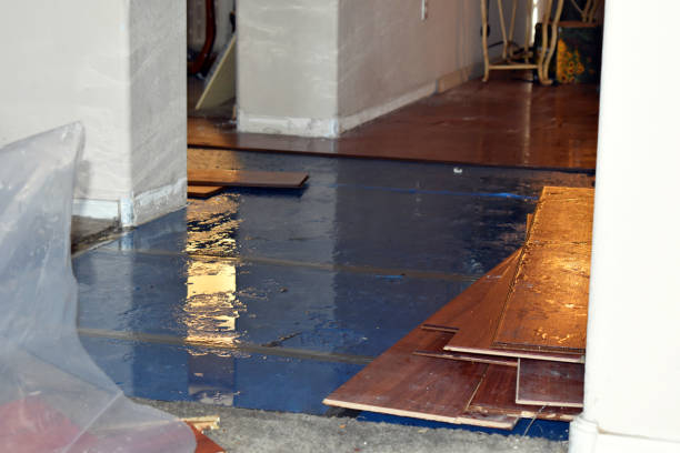 Professional Basement Water Removal technician working in Endicott, NY